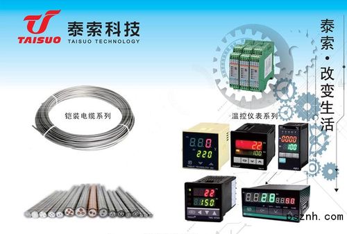 浙江泰索科技 智能感知驅動未來，物聯網科技點亮行業(yè)革新